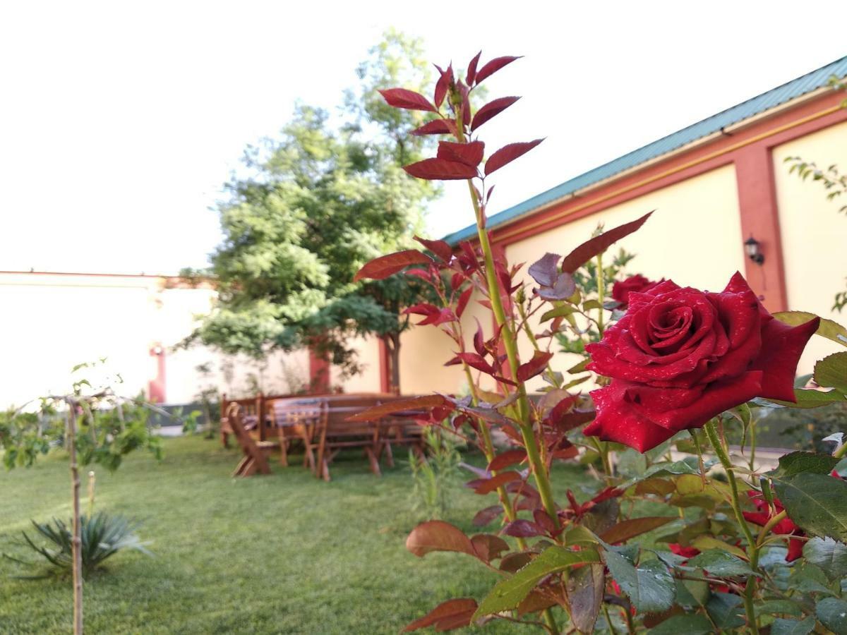 Chinor Garden Hotel - Free Airport Pick-Up And Drop-Off Taşkent Dış mekan fotoğraf